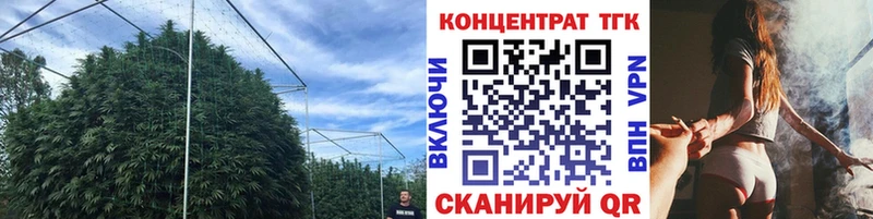Дистиллят ТГК Wax  Устюжна 