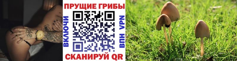 Галлюциногенные грибы ЛСД  Устюжна 