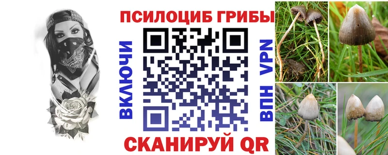 Галлюциногенные грибы ЛСД Устюжна
